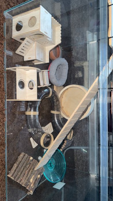 Cusca pentru hamsteri