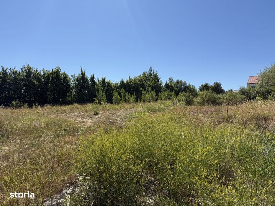 Teren 32.000 mp, oportunitate investitie case/hale Grosi Baia Mare