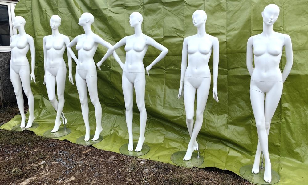 Manechine manechini de senzație