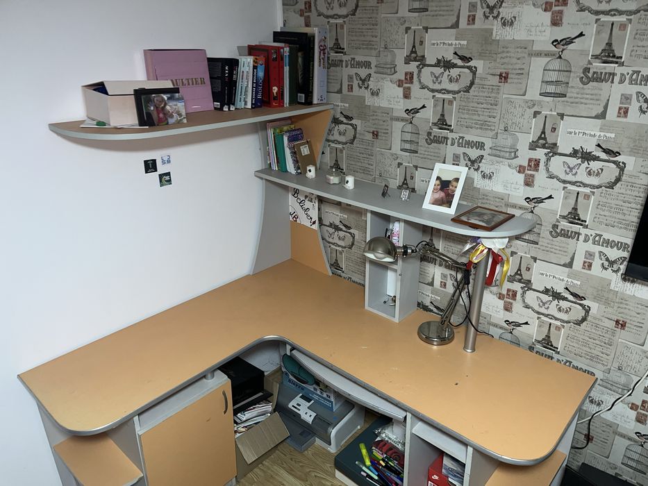 Birou camera tineret