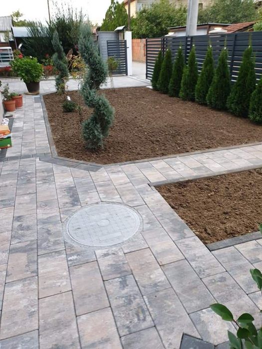 Vând plante naturale ornamentale pentru amenajarea gradini dumneavoast