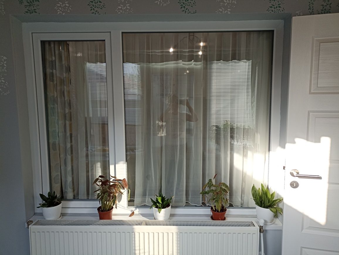 Продава се Къща в Силистра, Център - 70 кв.м за 1676 €/кв.м - Снимка #5