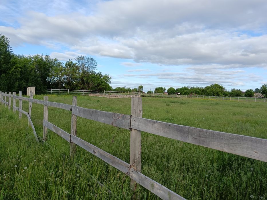 Продается земля 25 соток,район Якоря трасса недалеко от участка ,ИЖС
