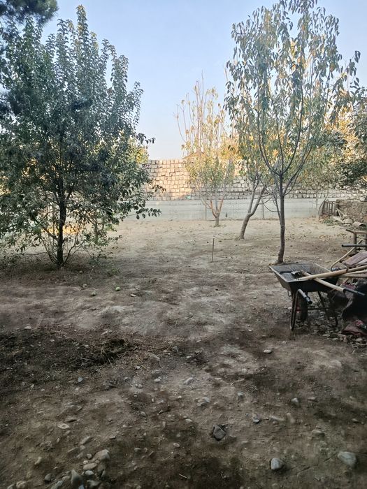 Jizzax Toqchiliq maxalasi yangi uchaskala 5.5sutix uchaska sotiladi ke