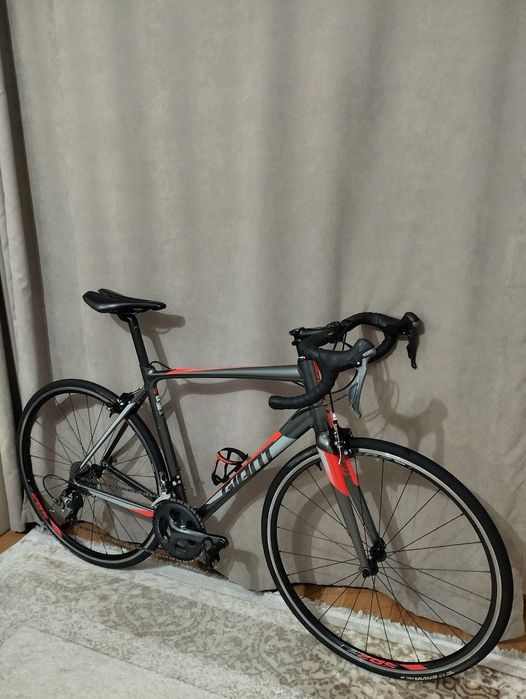 GIANT Contend SL2