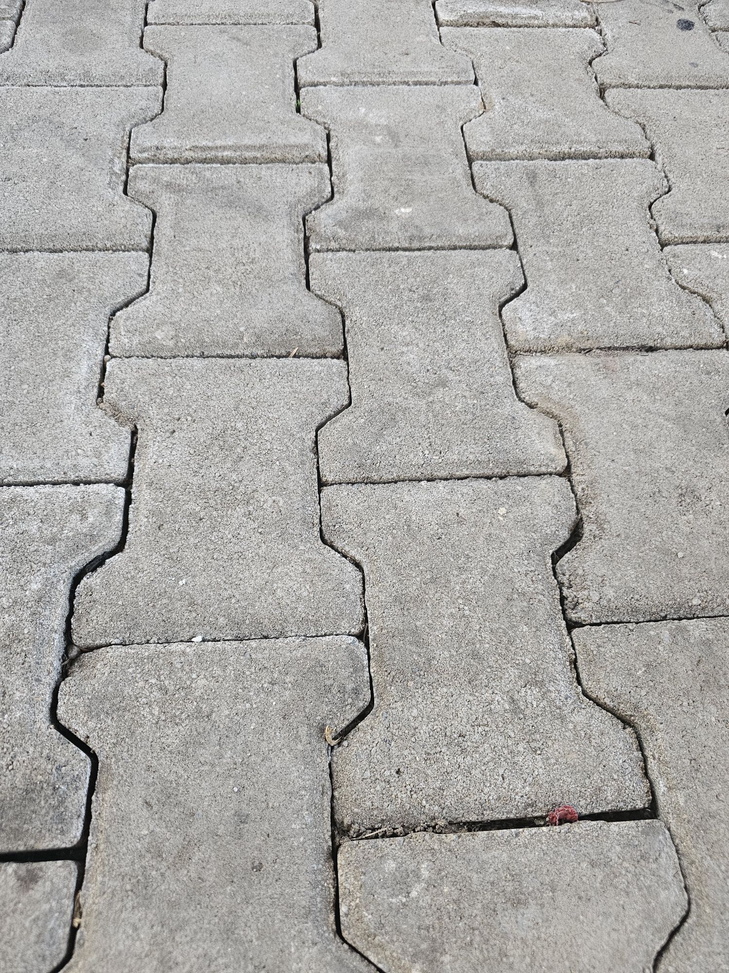 Pavaje pentru curte