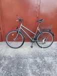 Bicicleta adulti