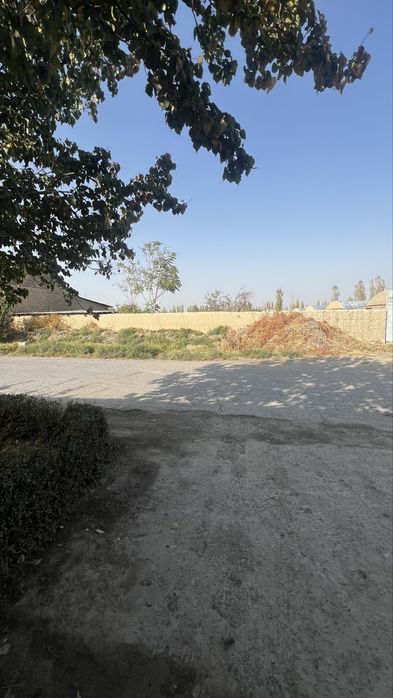 Teplitsa Sotiladi 32 sotix teplitsa jami hudud 46 sotix