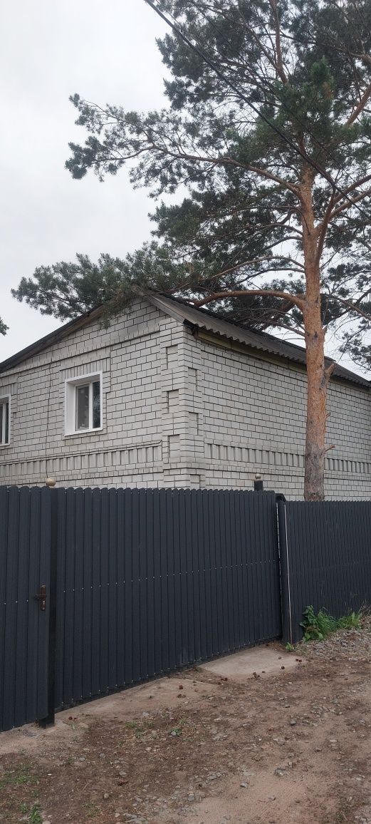 Продам дои в садоводстве Иртыш