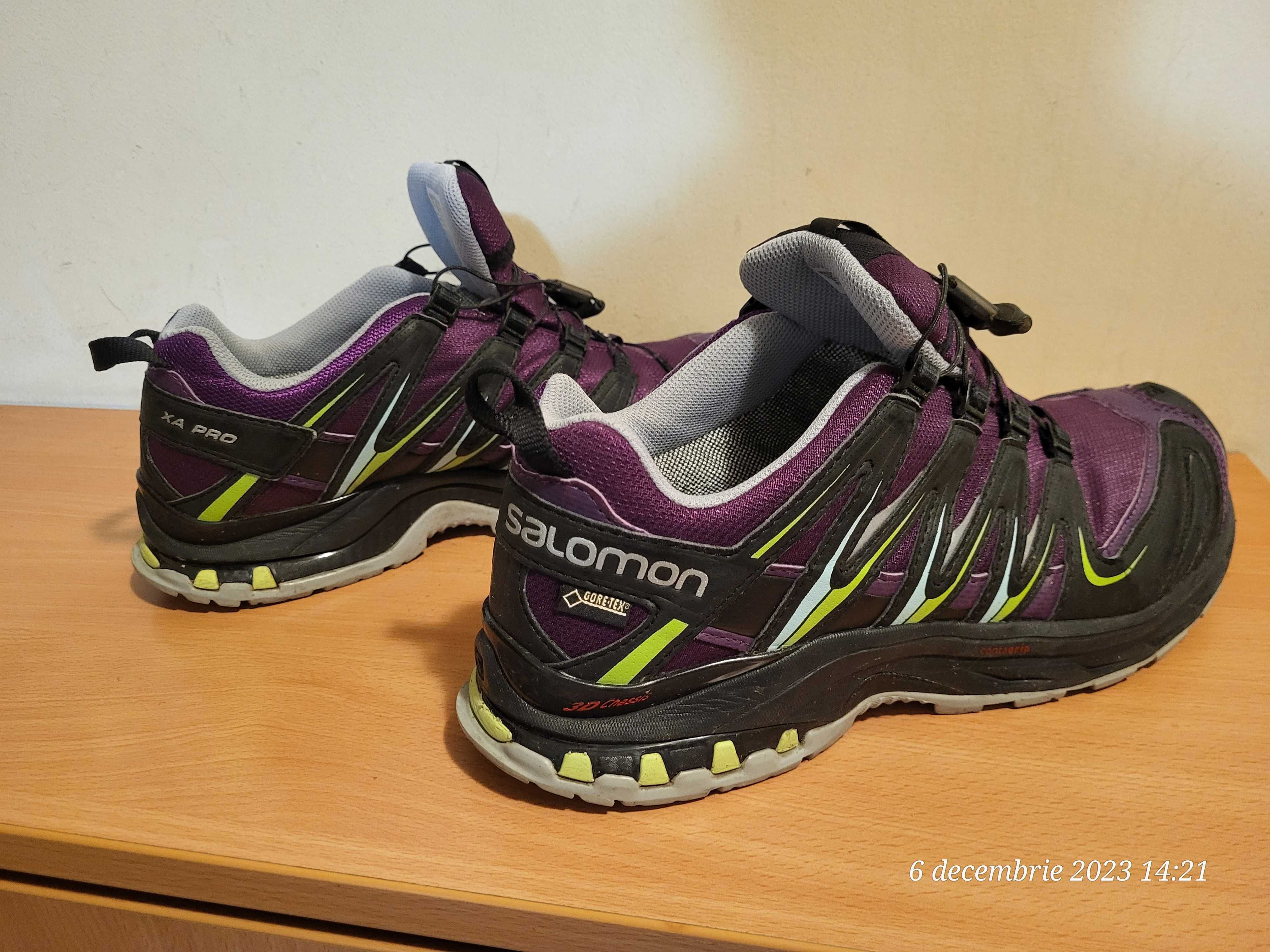 Salomon XA Pro 3D Mountain Trail Gore-Tex