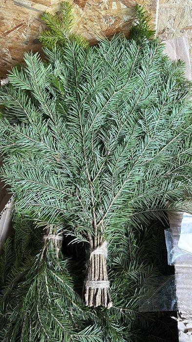 Пихтовый веник - парильный.