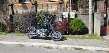 Vand Honda     1100