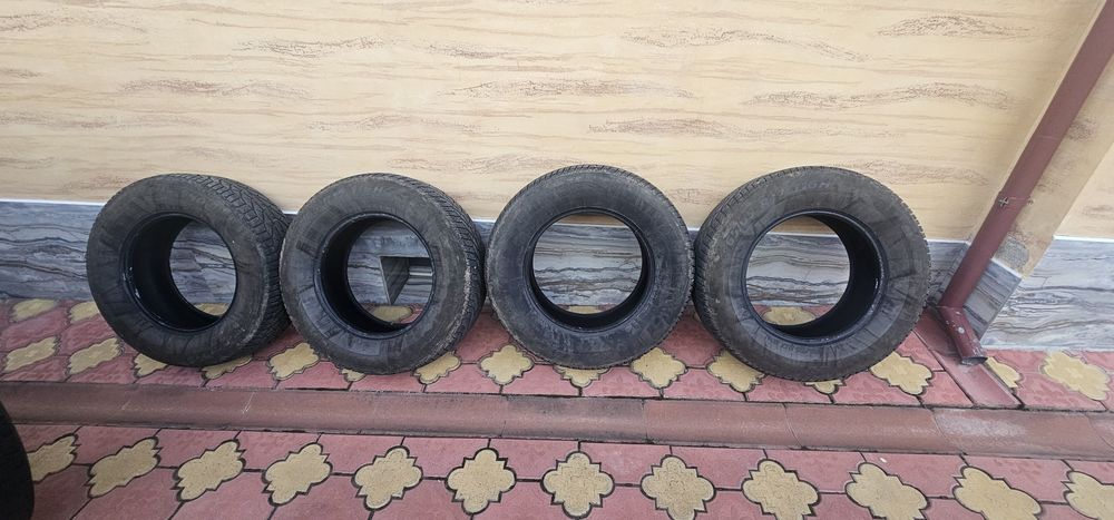 Cauciucuri (anvelope roti )