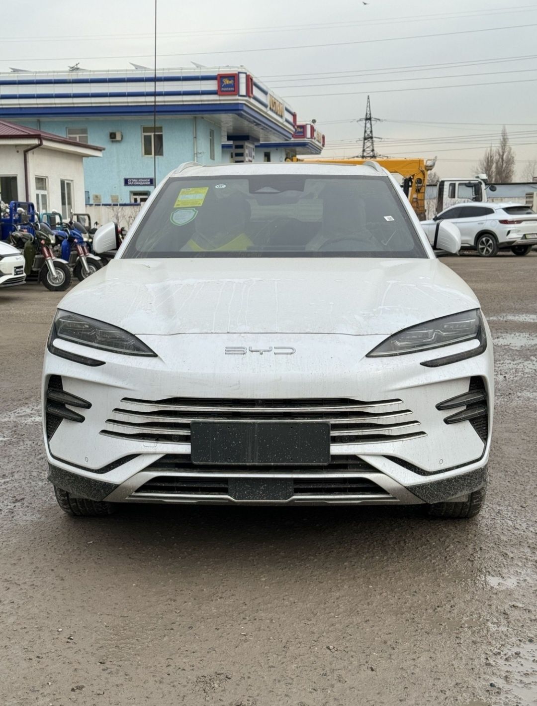 BYD champion сотувда тайор шошилинг
