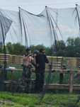 Silver pack - 400 bile Arena Paintball Brasov