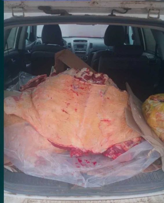 Соғым семіз болса бір тұтасын аламын 300-350 мың ға