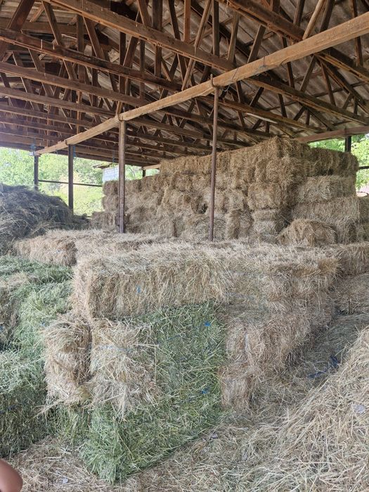 Baloți de fan, producție 2025