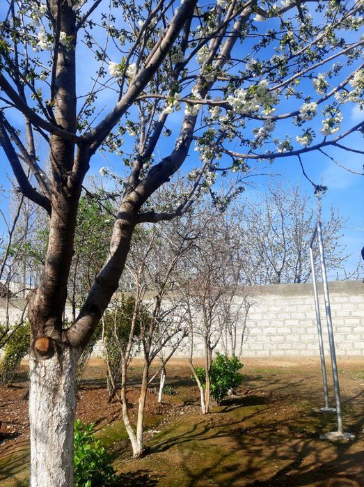 Продаётся участок, ховли чек сотилади.