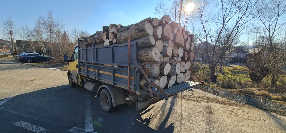 Lemne pentru foc avem si uscate