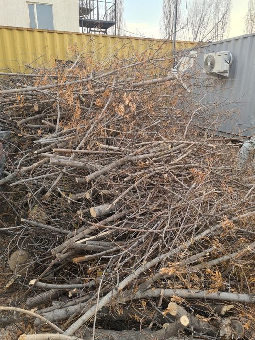 Дрова бесплатно самовывоз