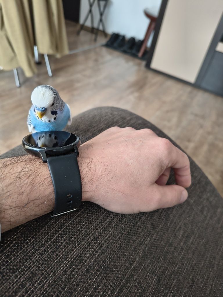 Vand Peruș blând