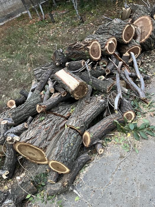 Срочно дрова в большом количестве
