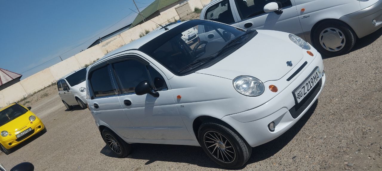 Matiz egalaridan