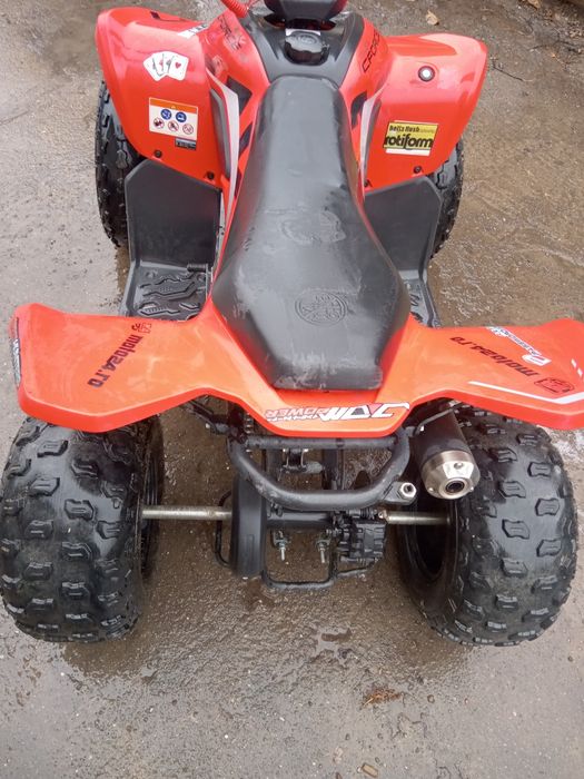 Atv Cfmoto 110 2025
