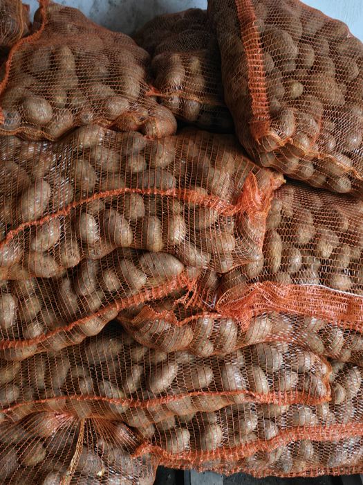 Cartof albi !(ultra)