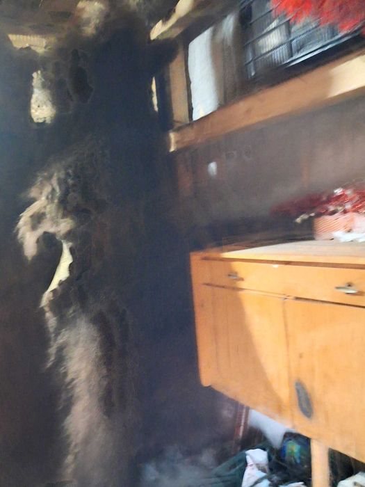 Piei de urs de vanzare