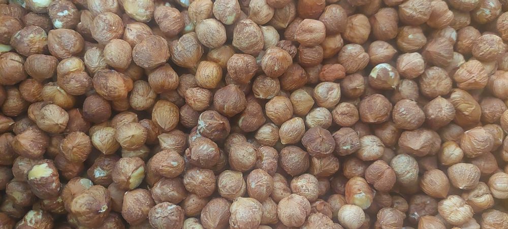 Лешник ядка,реколта 2025г.