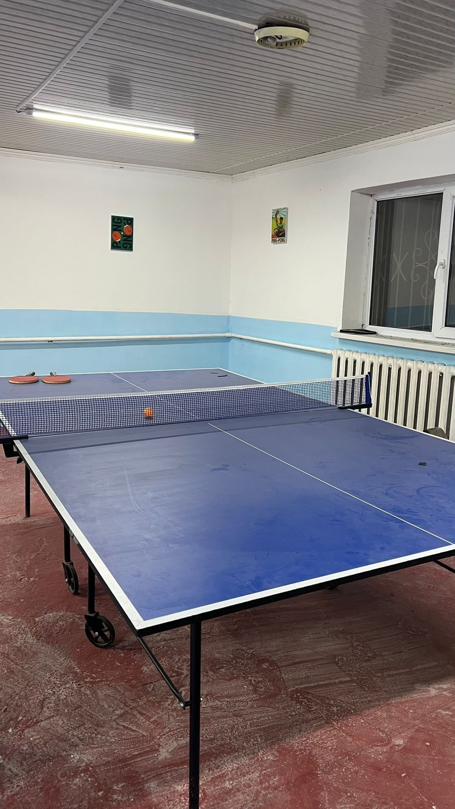 настольный теннис (ping-pong)