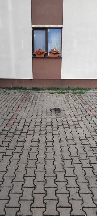 Închire parcare Floresti!