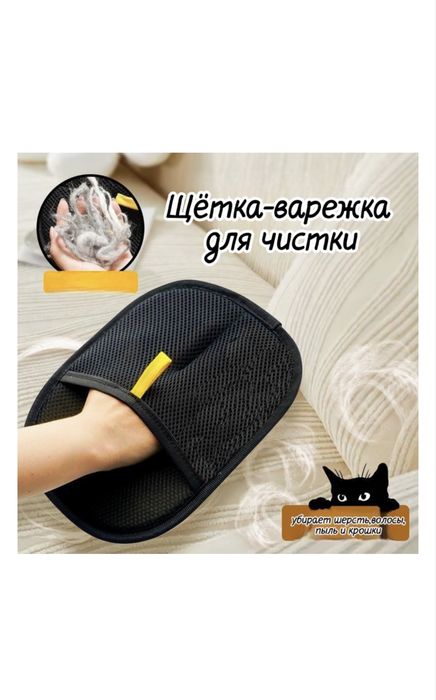Кот шотланский вислоухий