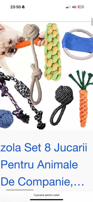 Jucatie pentru catel