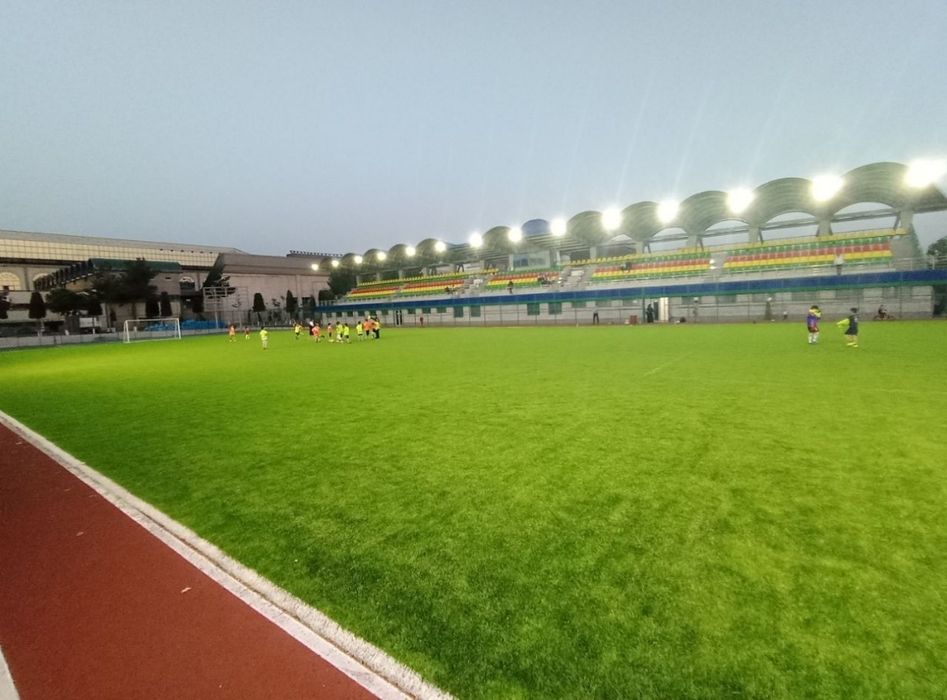 Futbol Polya 65m x 36m
