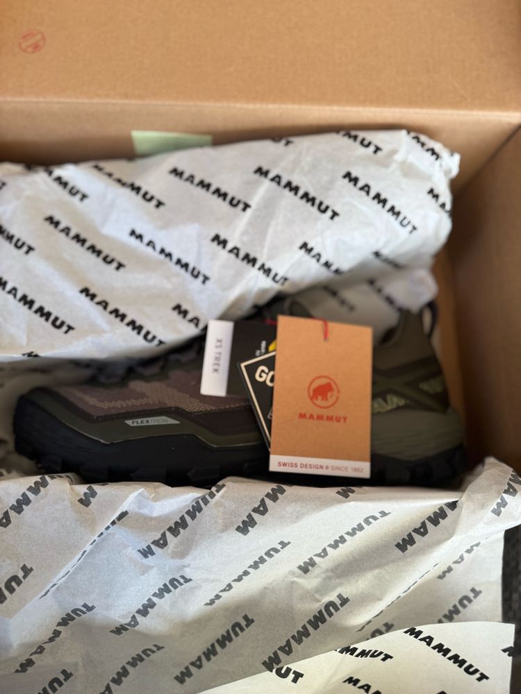 Mammut Ducan Low GTX® Men