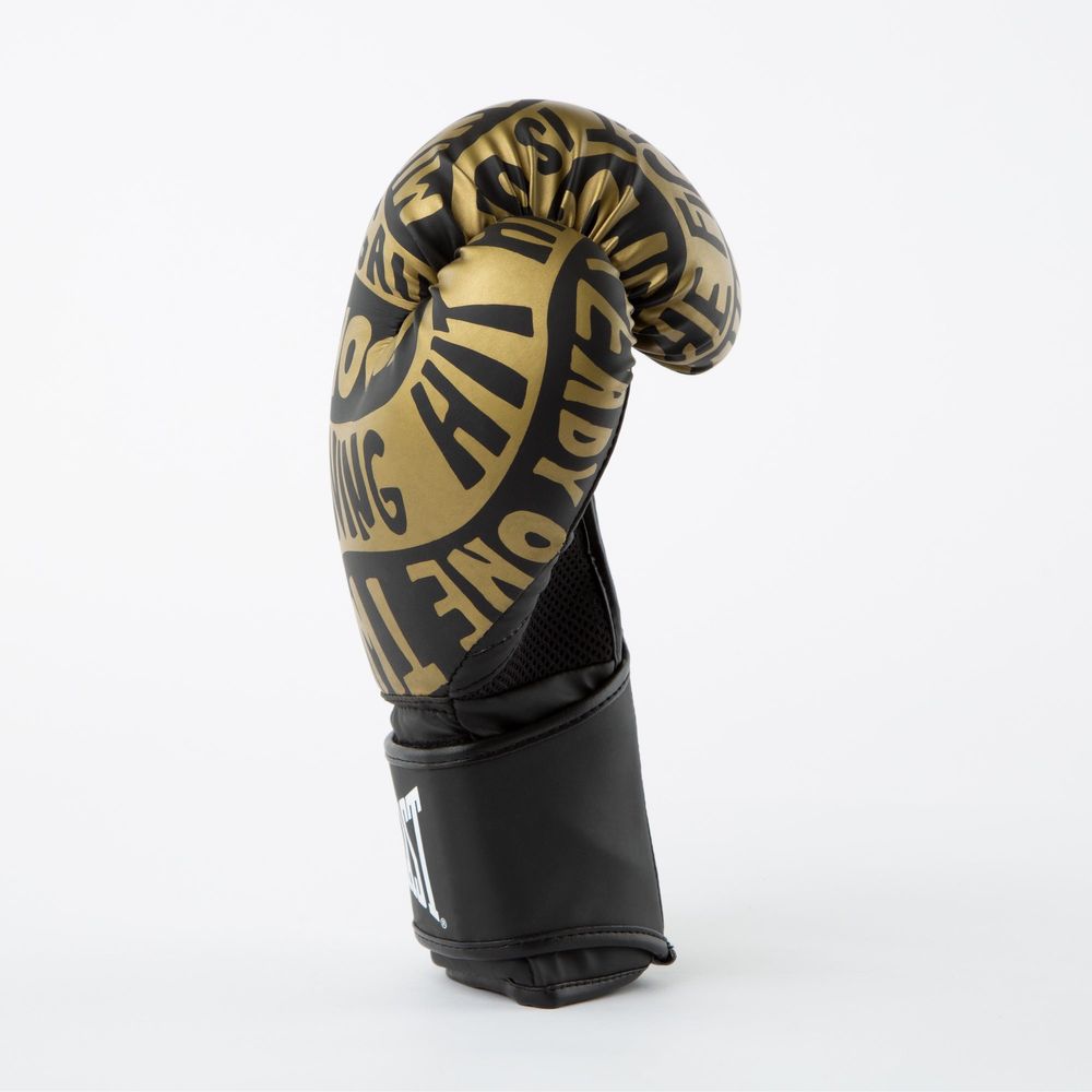 Everlast из США Spark Training Gloves Перчатки для бокса тренировочные