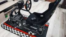 Simulator Racing / WRC / F1 / MicrosoftFlight Sim