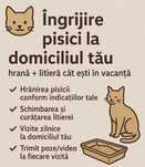 Ingrijire animale, in special pisici la domiciliu