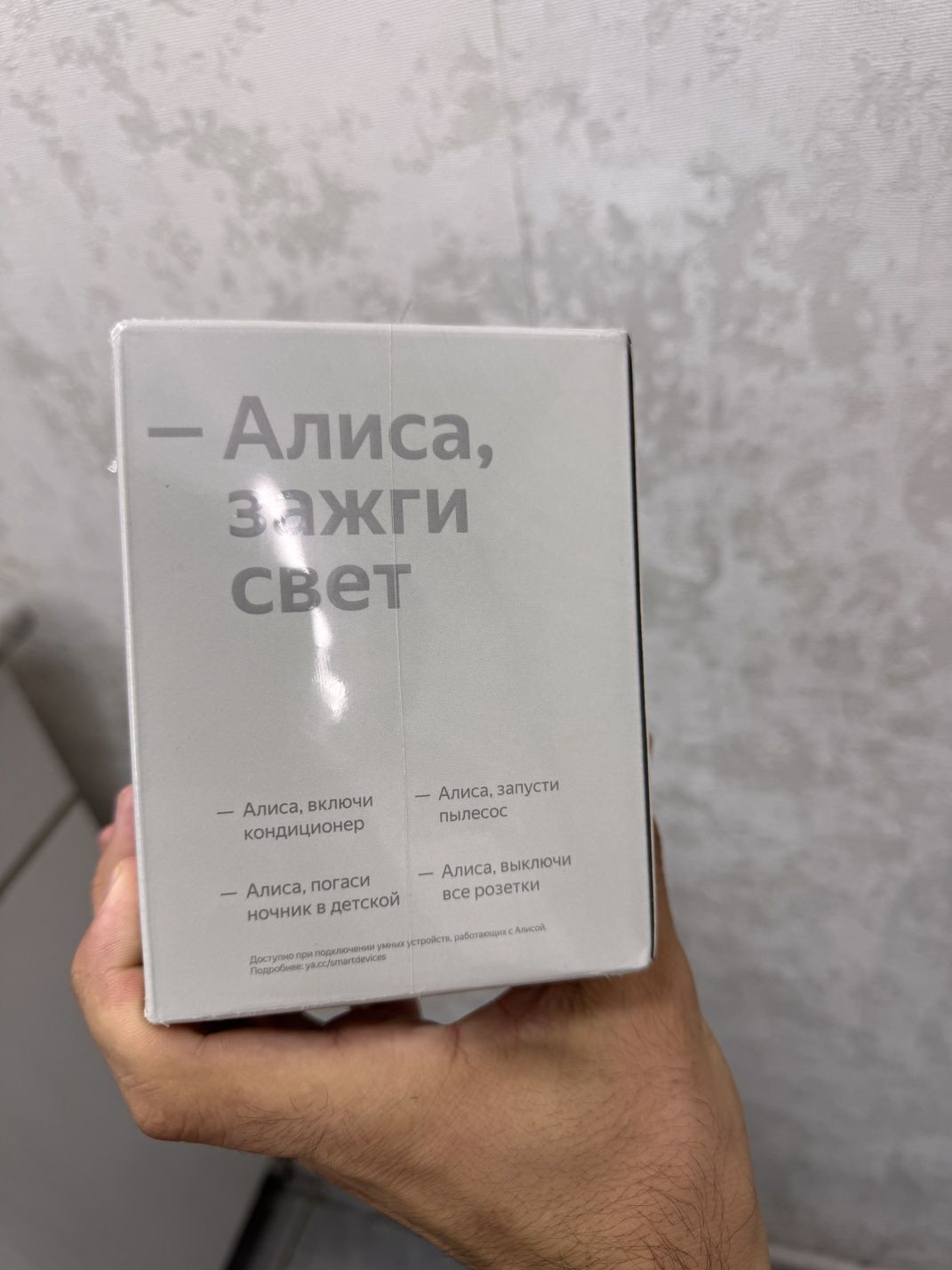 Yandex Stansiya Mini 2