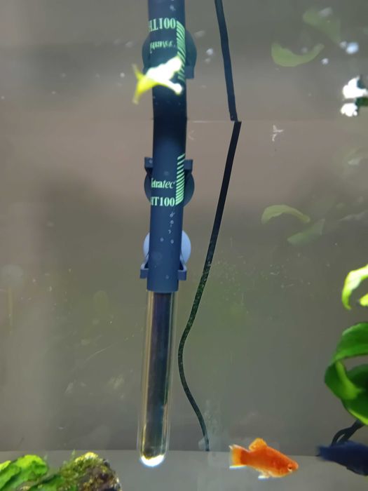 Incalzitor acvariu cu  termostat Tetratec HT100 wati