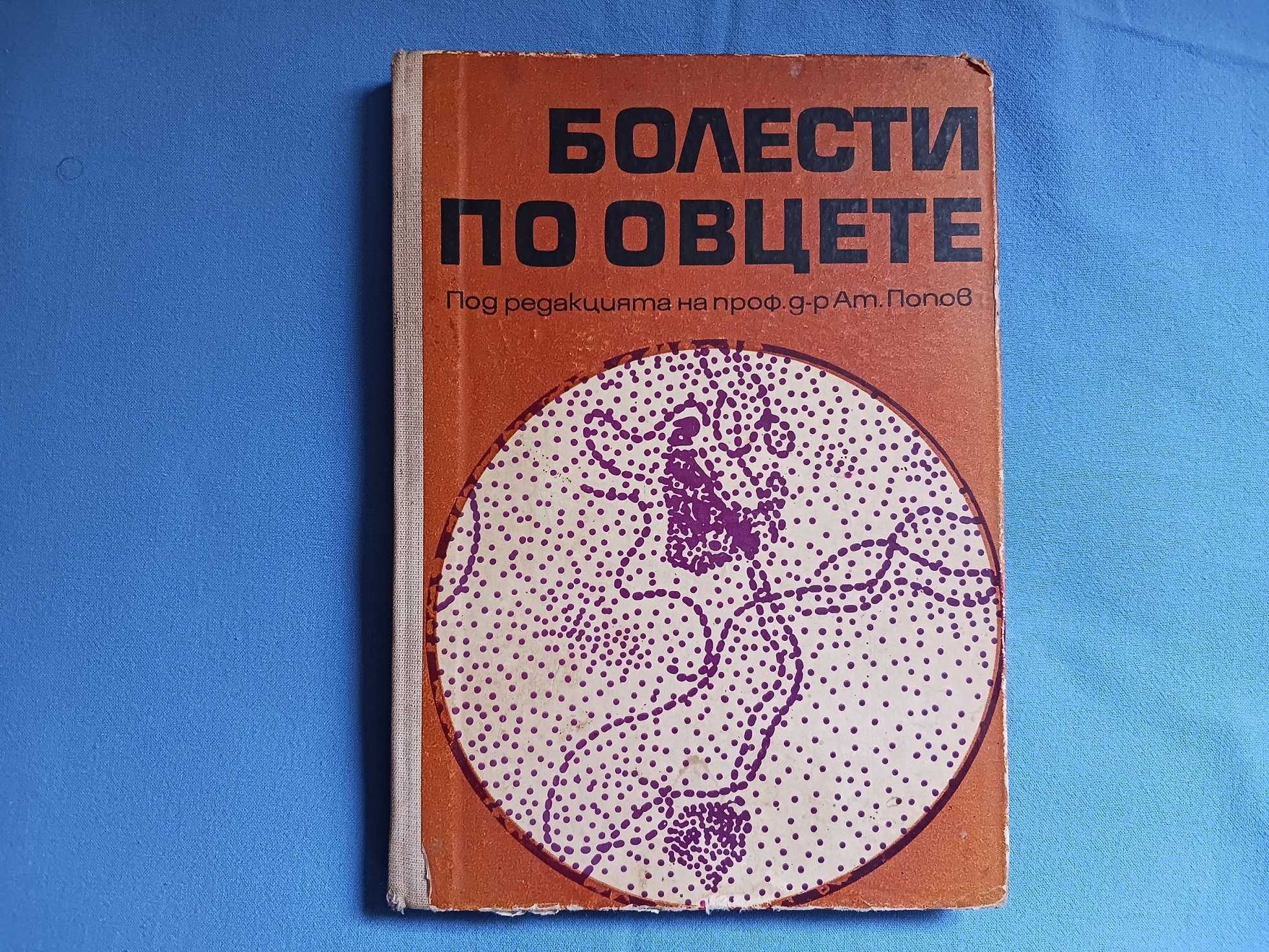 Болести по овцете