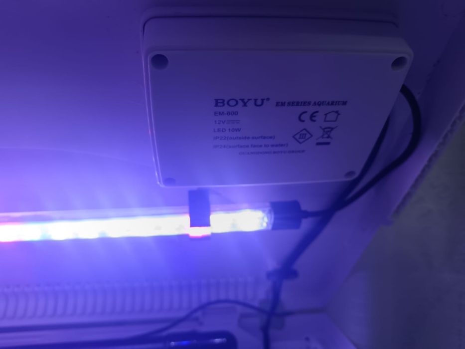 Acvariu boyu cu comoda incorporata
