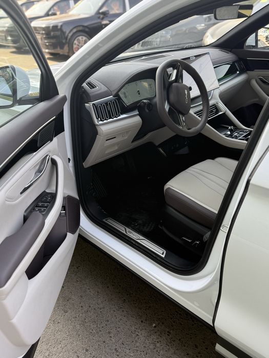 BYD champion smart