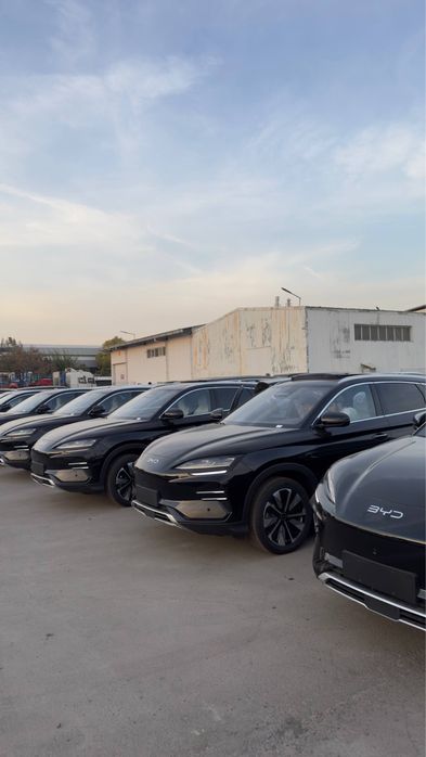 Byd song plus champion 2025