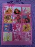 Jurnal Barbie Vintage by SJ Gang
