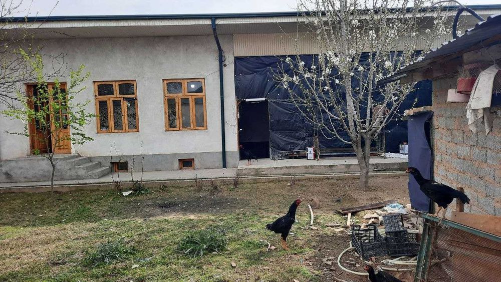 Ховли сотилади 4 сотох