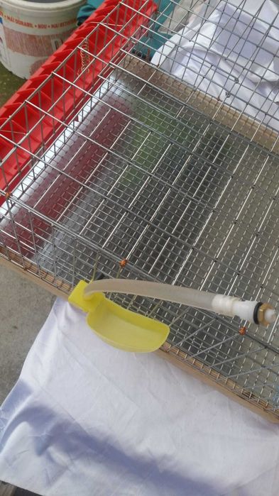 Custi SH Prepelite _ accesorii