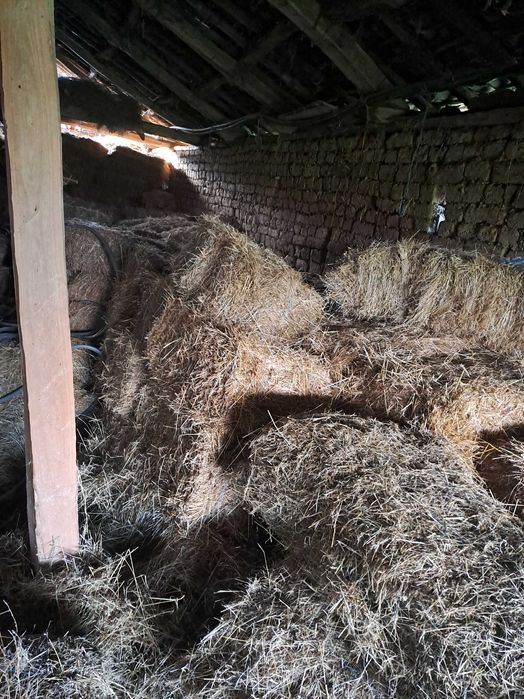Бали сено 5 лв ..